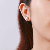 Sparkling Star & Horseshoe Stud Earring Sparkling Star & Horseshoe Stud Earring