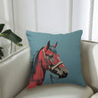 Couch Pillowcase
