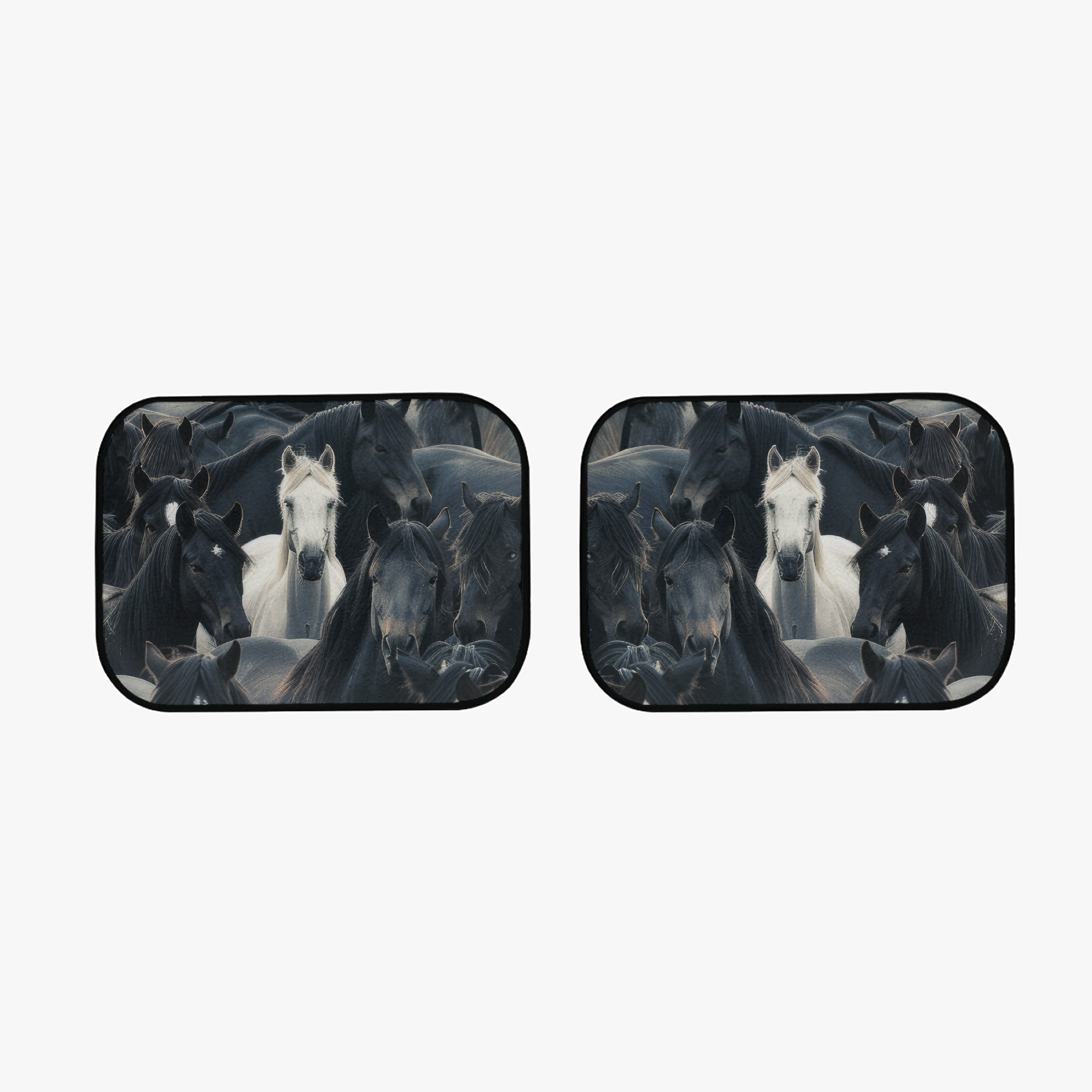 Car Floor Mats Set