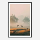 Two horses standing in a misty field with warm golden light and soft atmospheric haze.
