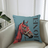 Couch Pillowcase